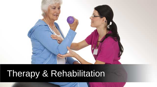 Therapy and Rehabilitation